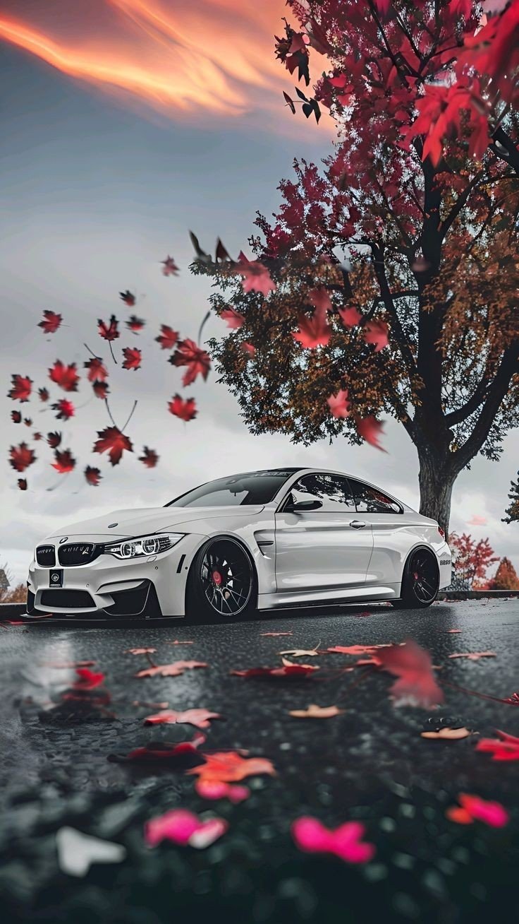 bmw wallpaper 26