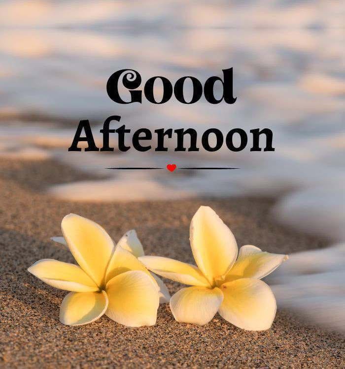 Beautiful Good Afternoon Images