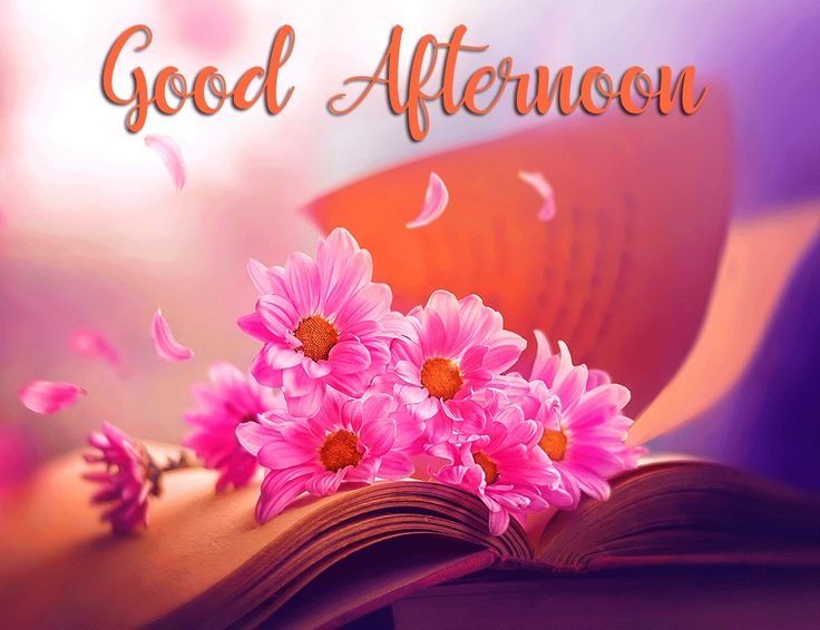 Good Afternoon Images