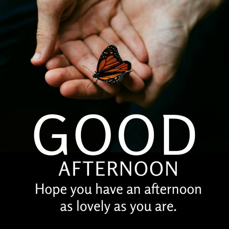 Good Afternoon Images Cute