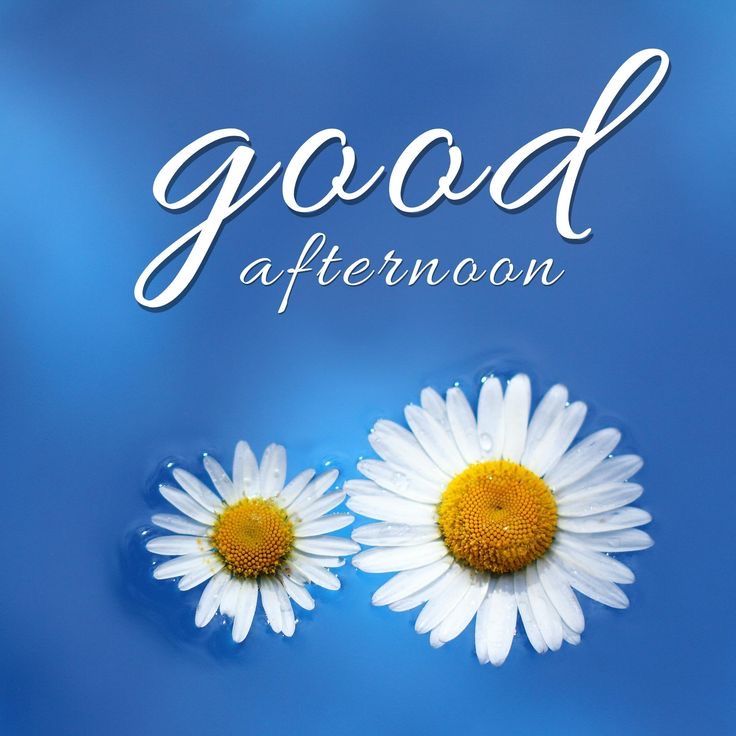 Good Afternoon Images Cutest
