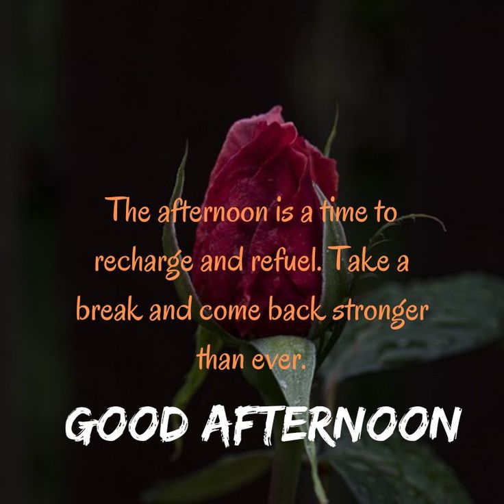 Good Afternoon Images For Whatsapp With Quotes