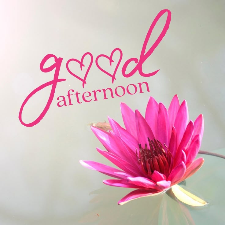 Good Afternoon Images In Hindi
