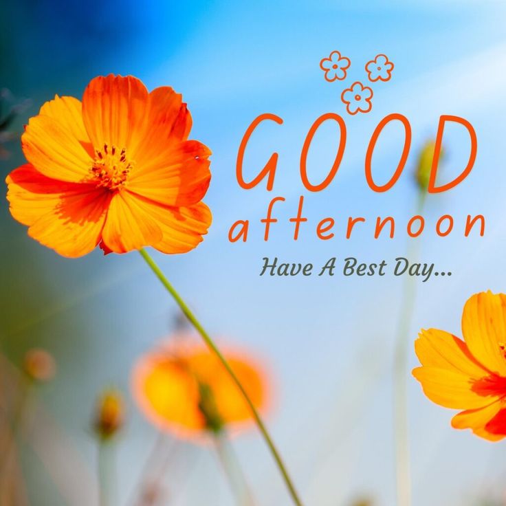 Good Afternoon Images Love Wali