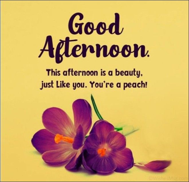 Good Afternoon Images Wishes
