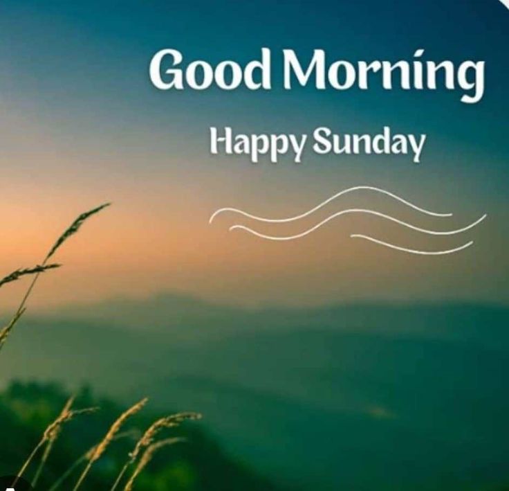 Good Morning Saturday Photos