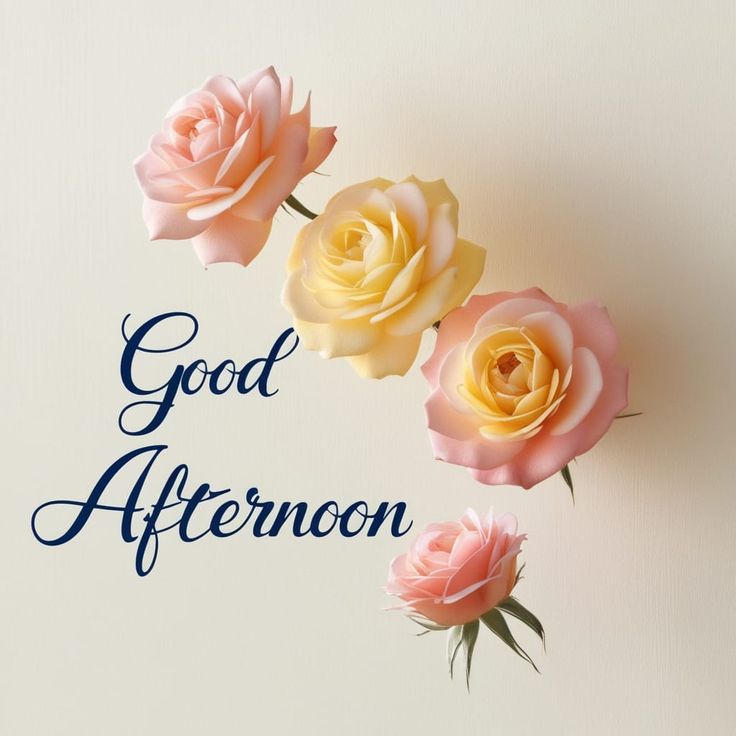 Whatsapp Good Afternoon Images